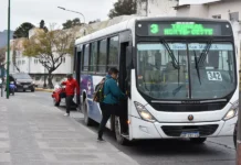 Servicio de colectivos para Año nuevo