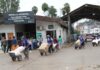 Salta ya registra 413 casos de chikungunya
