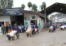 Salta ya registra 413 casos de chikungunya