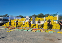 Salta:banda narcocriminal que enviaba drogas en camiones de fruta y usaba un comedor como pantalla