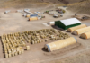 La Secretaría de Minería otorgó la Declaración de Impacto Ambiental al proyecto Diablillos