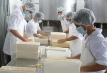Oportunidad laboral: seleccionarán personal para una importante empresa láctea