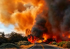Cafayate: Continúa la investigación para determinar el origen de incendios en una finca