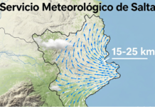 Alerta amarilla por fuertes vientos en distintas zonas de Salta