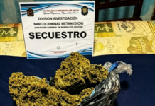 «Golpe al narcomenudeo: detienen a varios y secuestran más de 2.900 dosis»