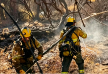 Intensificaron los trabajos de lucha contra los incendios en Cafayate