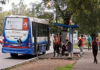 Como será el servicio de colectivos los feriados del 15 y 17 de junio