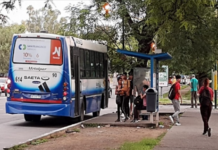 Como será el servicio de colectivos los feriados del 15 y 17 de junio