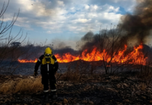 Incendios forestales: Salta activa alerta por riesgo muy alto y refuerza los controles