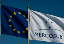 Exportaciones a la UE: Argentina suma US$861 millones más que en 2025 y alcanza los US$5.191 millones