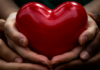 Día Mundial del Corazón: claves para prevenir las enfermedades cardiovasculares