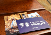Vive El Milagro Salteño: actividades culturales y religiosas para disfrutar en la ciudad