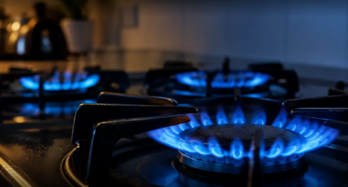 subsidio de gas zona fria